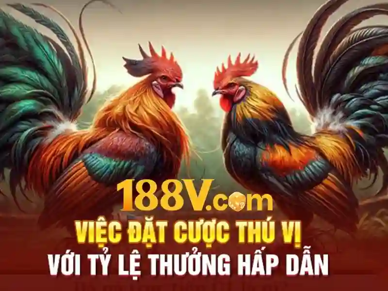 Phương thức rút tiền Slot 188V