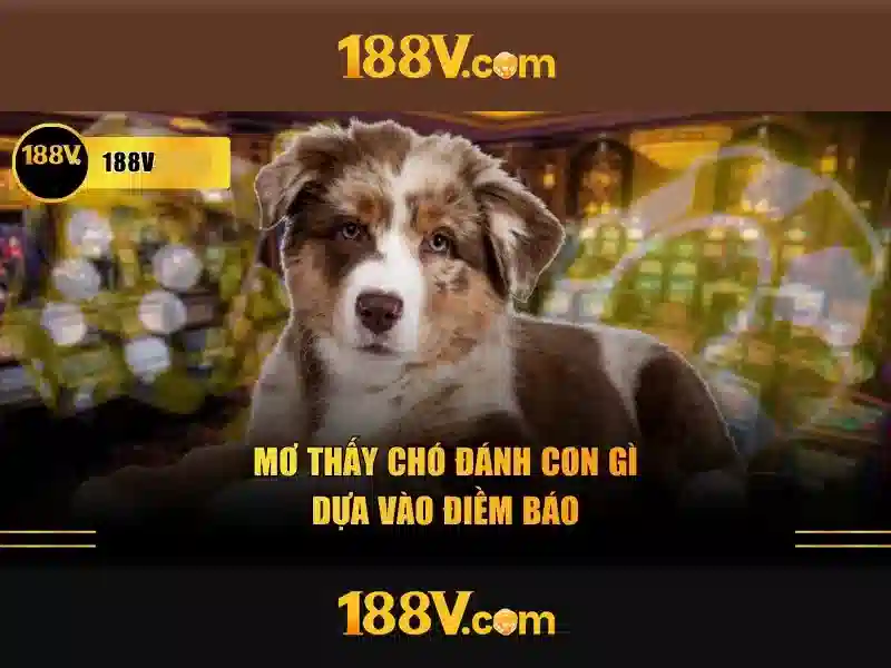 Phiên bản mới 188V 2026