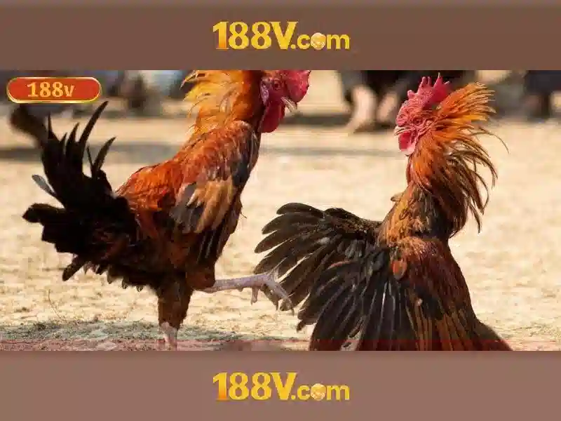 Đa Dạng Thể Loại Slot Tại 188V