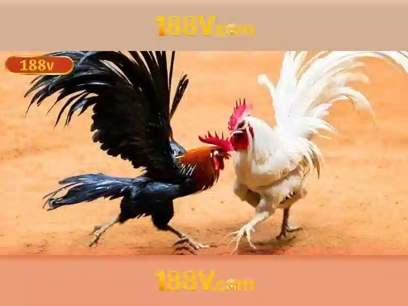 Trải Nghiệm Game Bài 188v