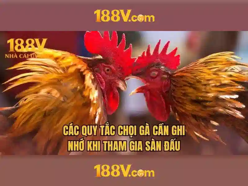 Tải 188v Ios