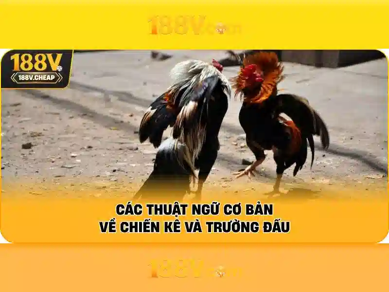 Trải nghiệm slot 188v