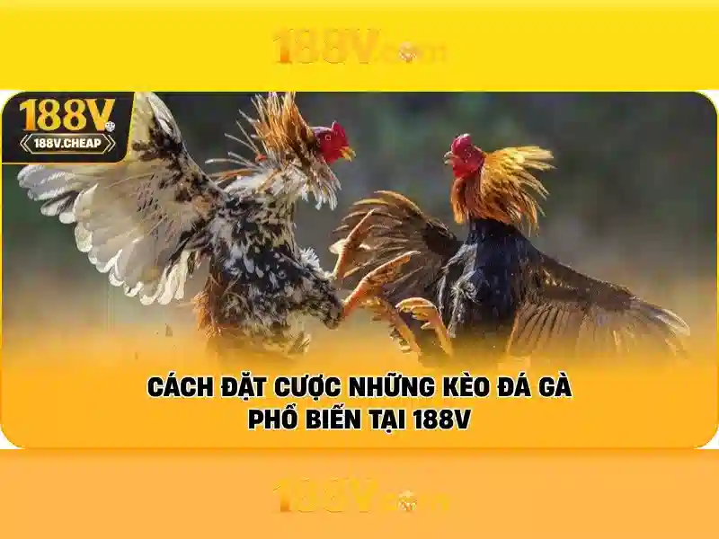 Nền tảng SLOT 188V