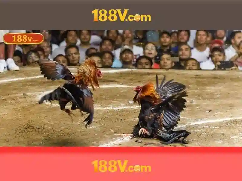 Hướng Dẫn Nạp Tiền 188V