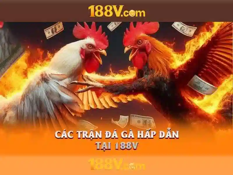 Lý Do Chọn 188V