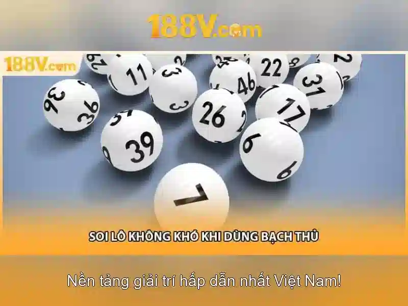 Đội Ngũ Hỗ Trợ Chuyên Nghiệp