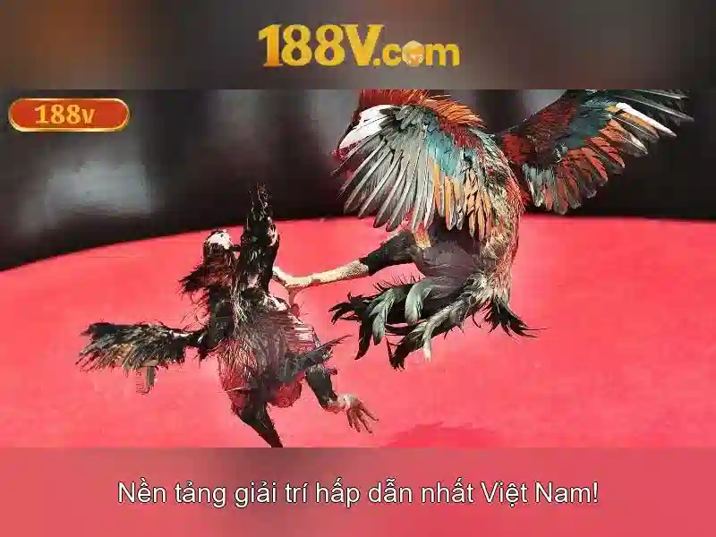 Trải nghiệm Slot 188V chính thống