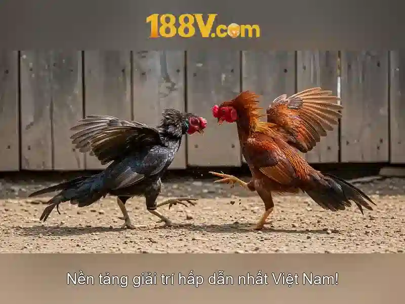 Trải Nghiệm Slot Đỉnh Cao Với 188v No Hu