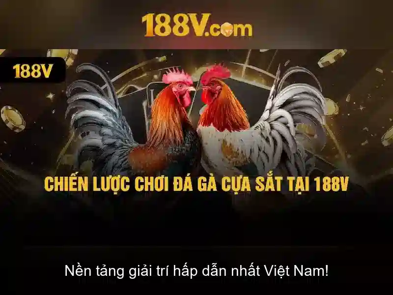 Trải Nghiệm 188V