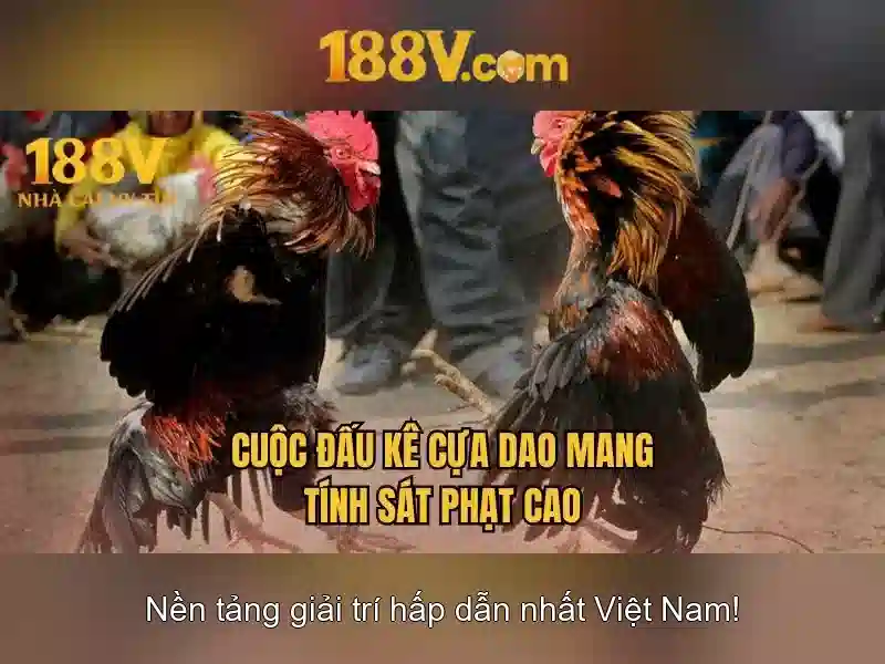 188V – Trang Chủ Chính Thức Không Bị Chặn 2026