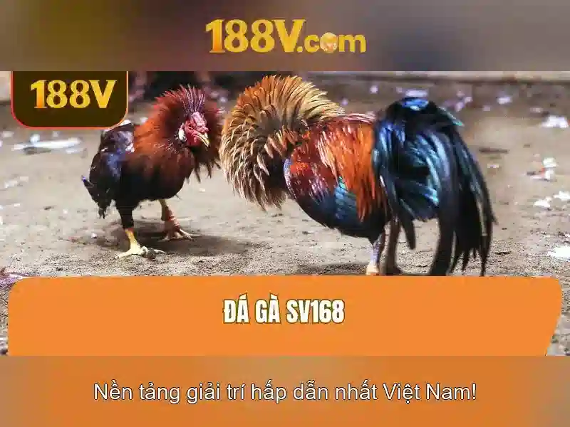 Đăng Ký 188V